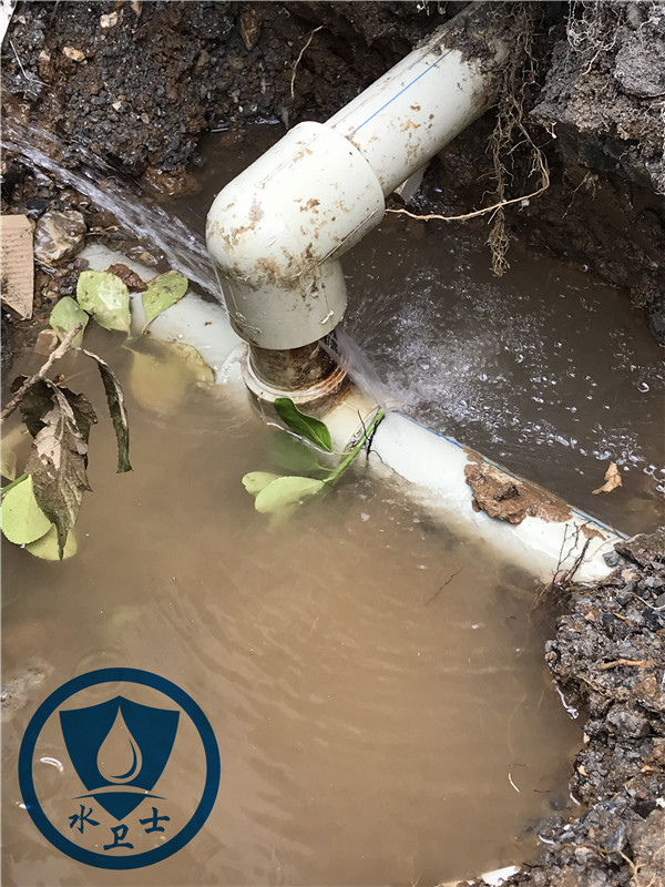 自來水管測漏案例